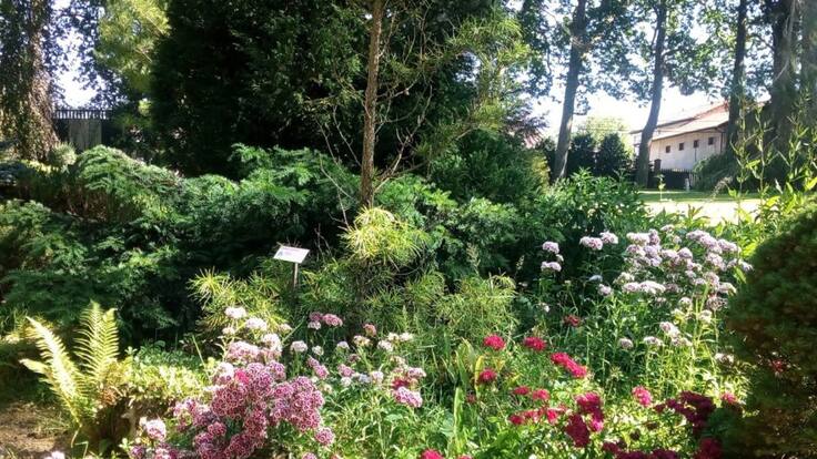 Reapertura del Jardín Botánico de Gijón Fase 2