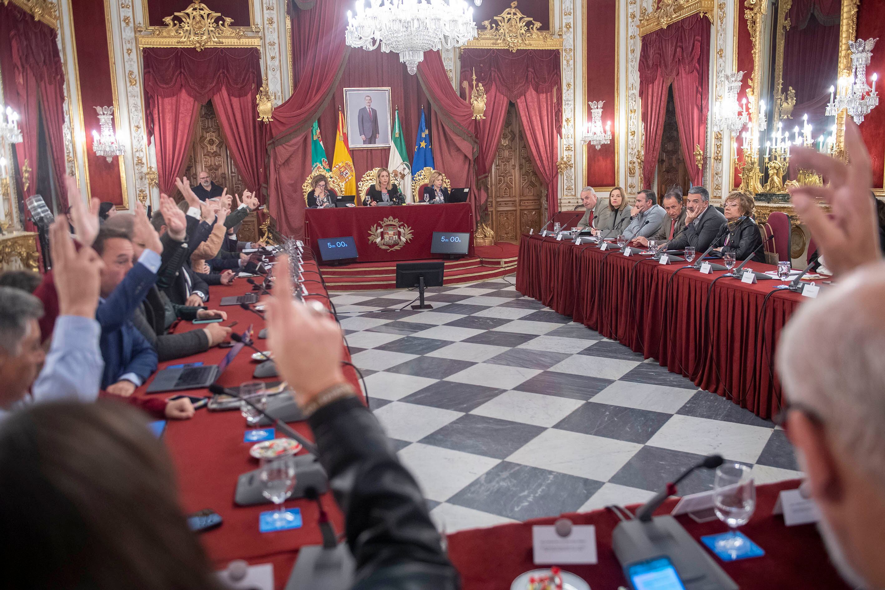 Votación en Pleno en Diputación