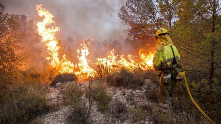 Los grandes incendios forestales arrasan cada año en España miles de hectáreas y ponen en peligro a las poblaciones de los entornos rurales. 