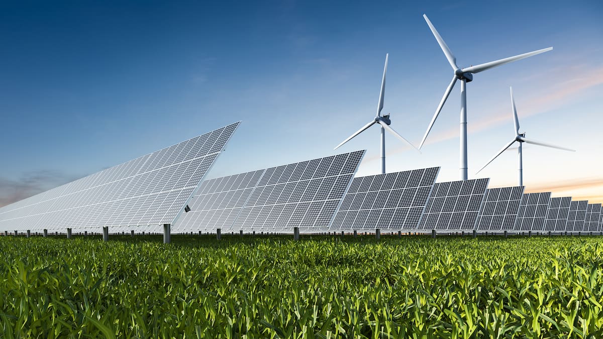 La Llavor (17/12/2022)