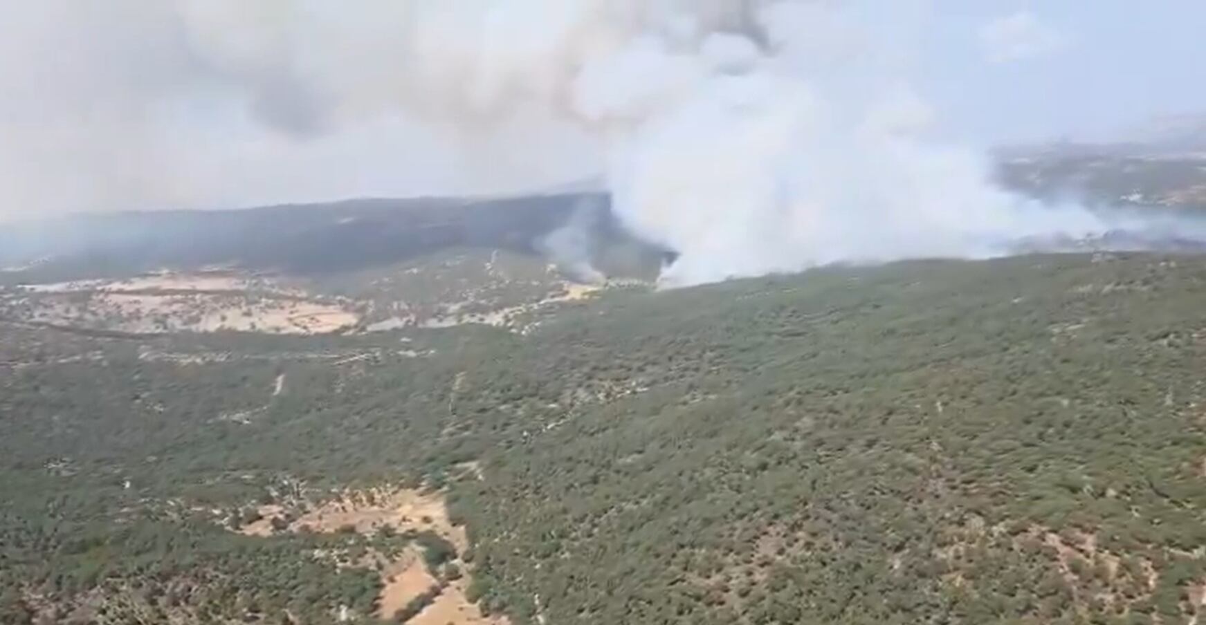 Incendio en San Bartolomé de Pinares (Ávila).