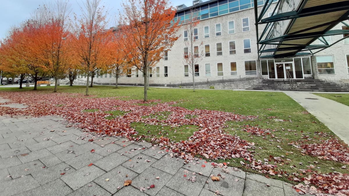 El TSJC confirma el derecho de una trabajadora con reducción de jornada a cobrar dos complementos