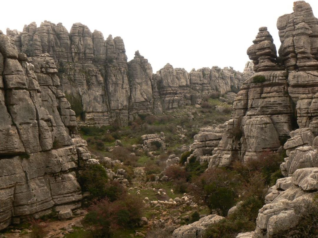 El karst se comporta como una gran esponja, almacena agua de lluvia, la transmite al interior, la disuelve  y la evacua de nuevo al exterior por su parte más baja, a lo largo de todo el perímetro de El Torcal. Su nacimiento más importante es el de La Villa, situado en la cara norte