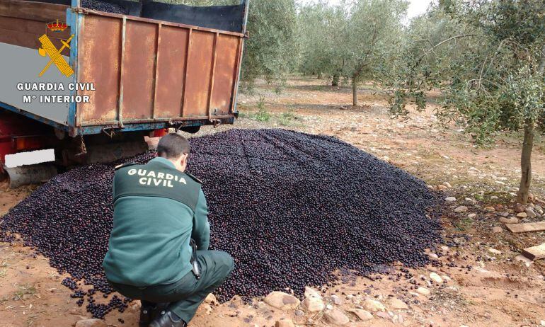Agenda inspeccionado la aceituan robada