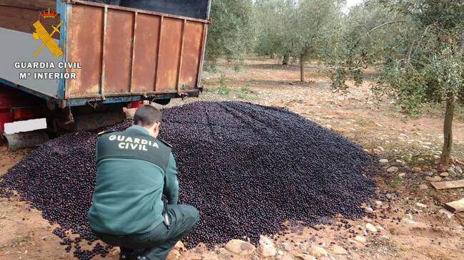 Agenda inspeccionado la aceituan robada