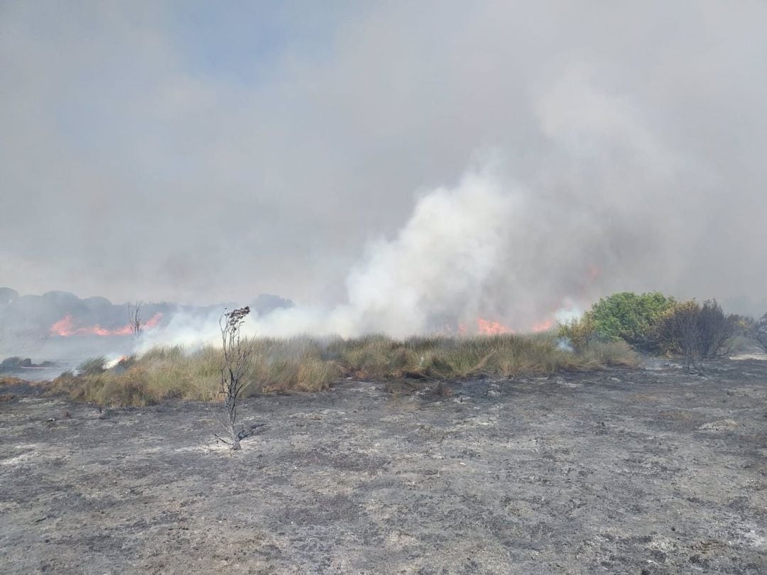 Hasta 31 bomberos han participado en la extinción del fuego