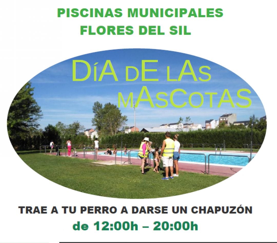 Cartel Día de las Mascotas