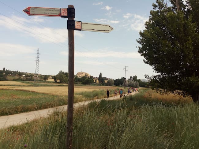 Ruta por la vega del río Borbotón de Huete.