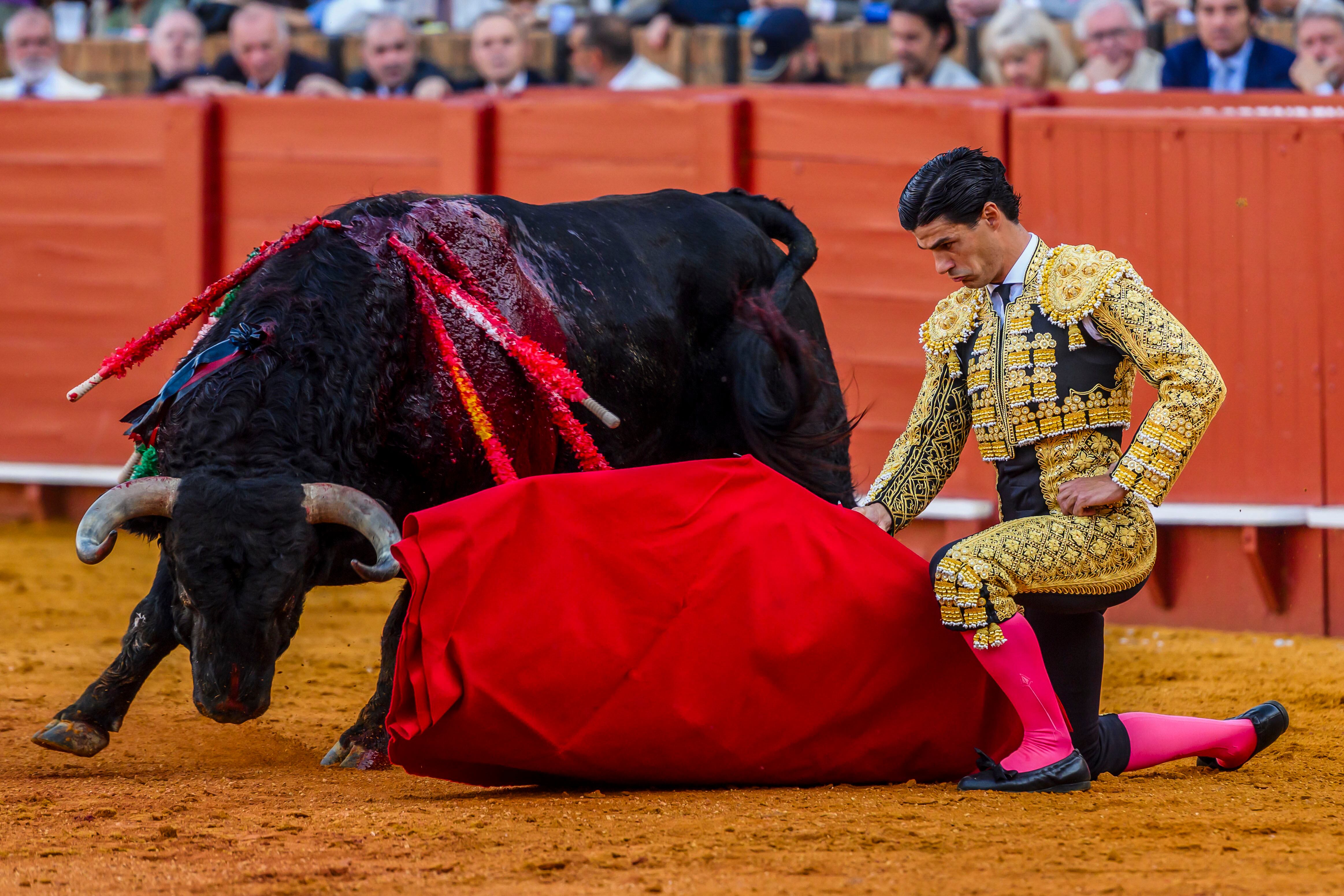 SEVILLA. 01/05/2025. - El diestro Pablo Aguado en su faena durante el sexto festejo de abono que se celebra hoy jueves en La Real Maestranza de Sevilla. EFE/ Raúl Caro.