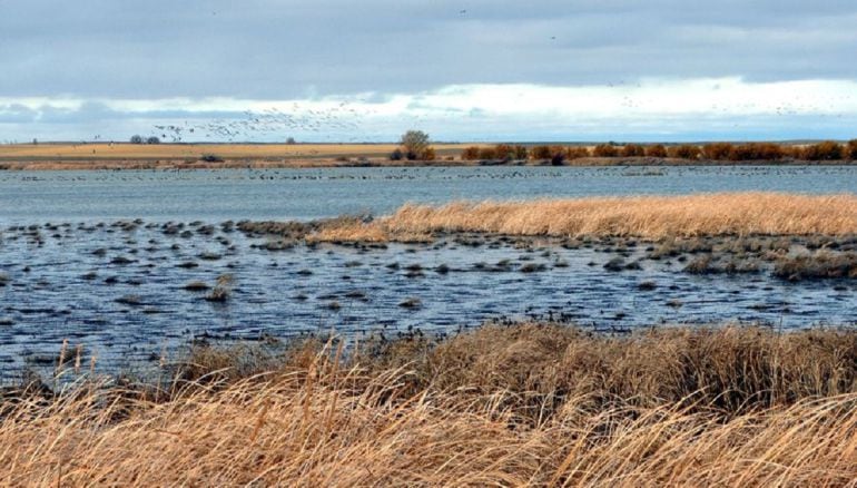 Laguna de la Nava