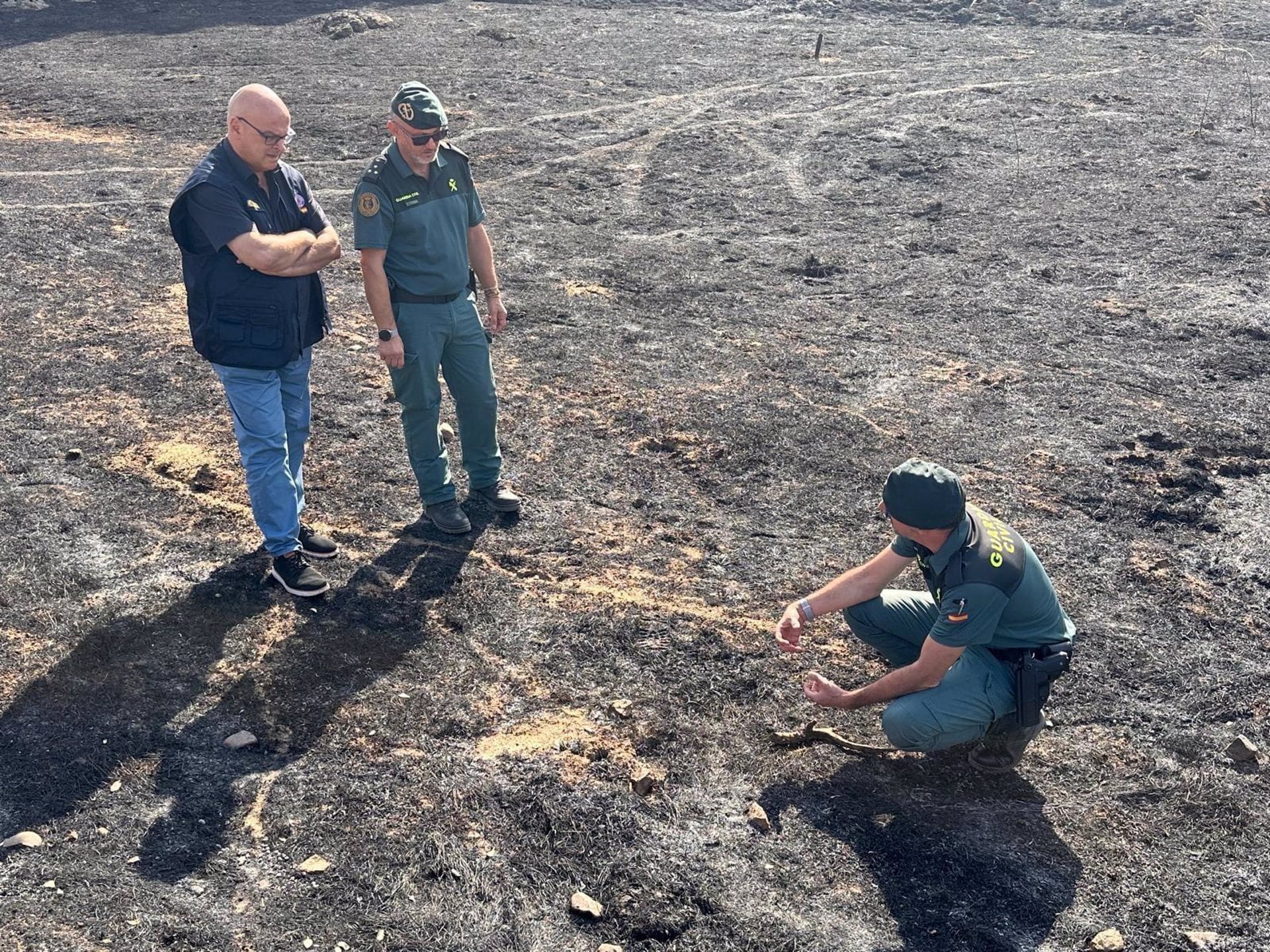 El subdelegado del Gobierno en Jaén, Manuel Fernández, visita la zona del incendio en El Encinarejo, Andújar.