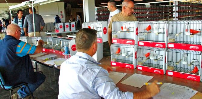 Fase enjucimianto. Palacio de Congresos de Torremolinos