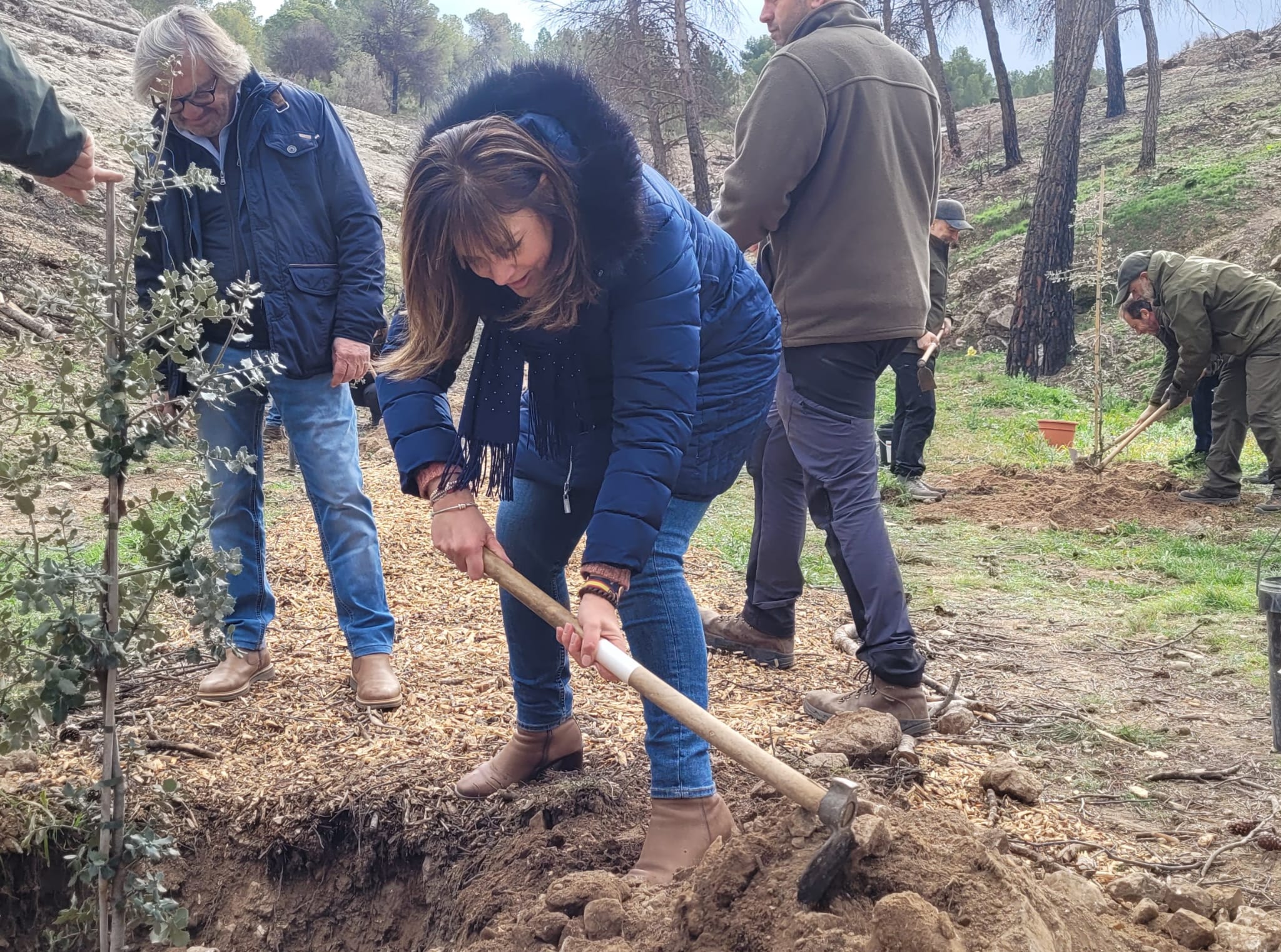 dia del arbol 2025 Biar