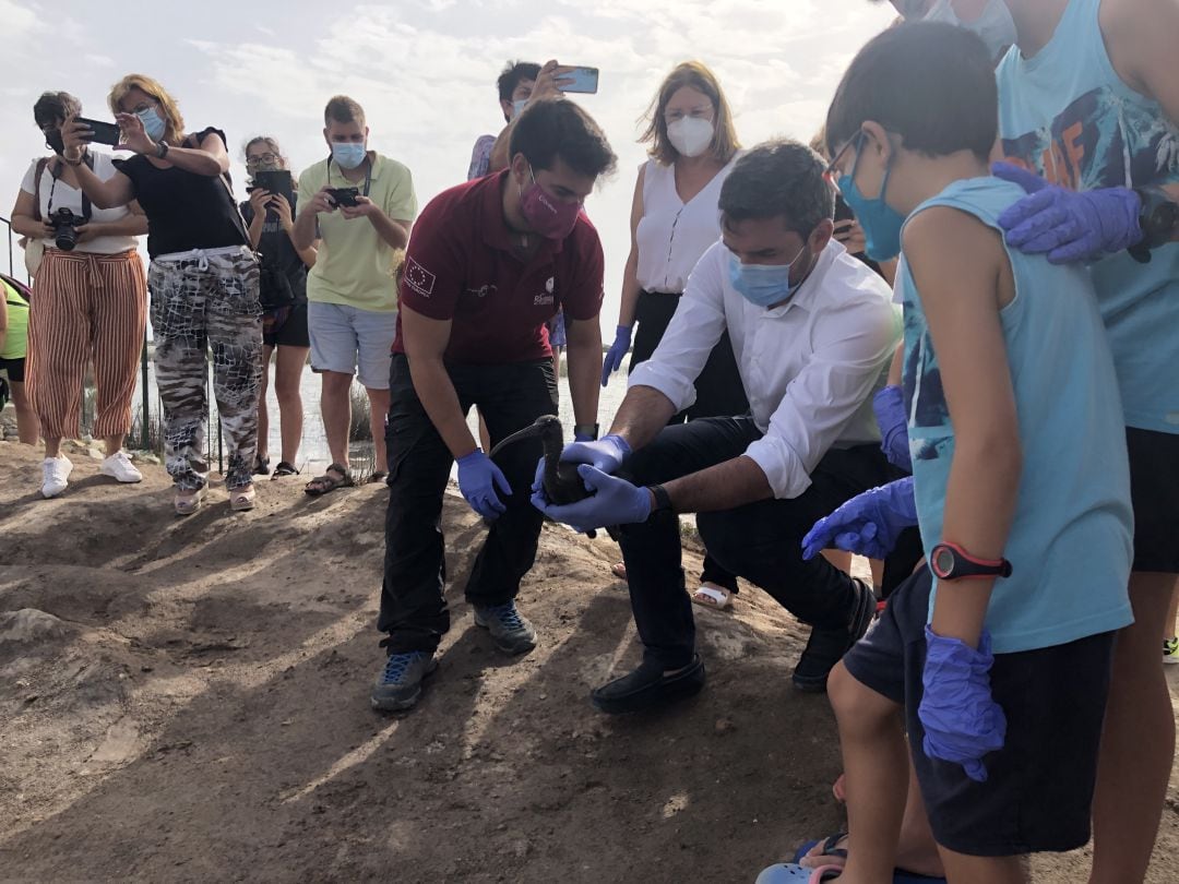 El consejero Antonio Luengo durante la liberación de dos ejemplares de morito común en el Parque Regional de las Salinas de San Pedro