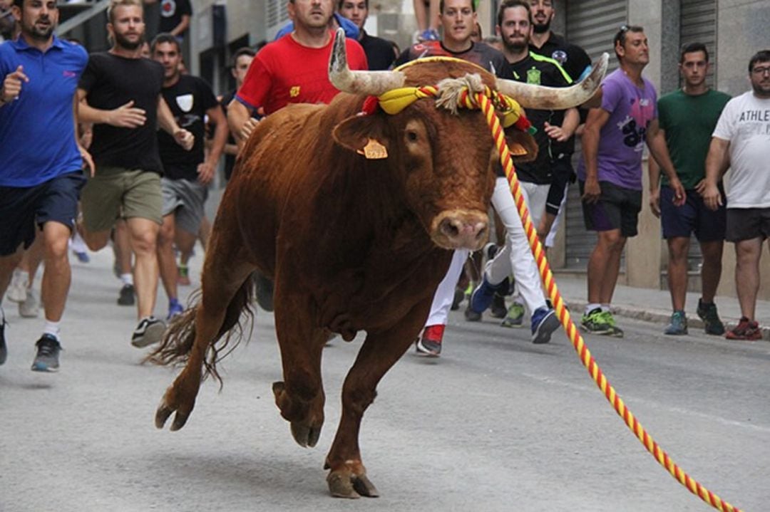 La fiesta del Torico de la Cuerda continúa adelante a pesar de la muerte este sábado de un hombre, que fue víctima de una cornada