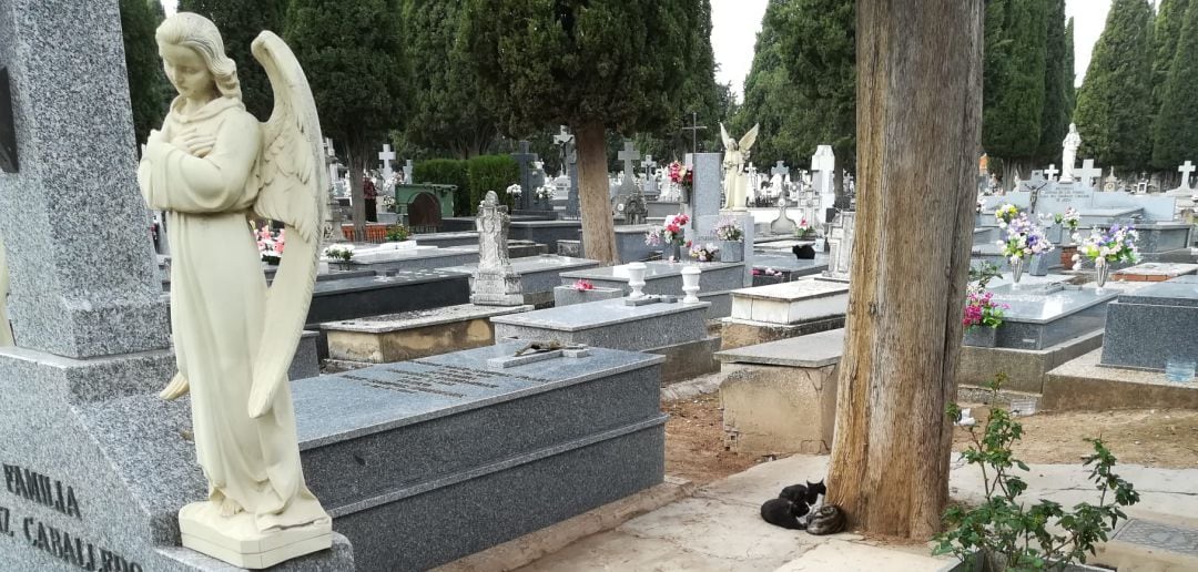 Imagen de archivo del cementerio de Ciudad Real