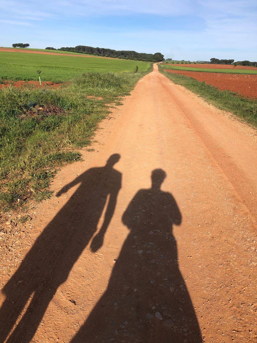 Una pareja pasea por el campo 