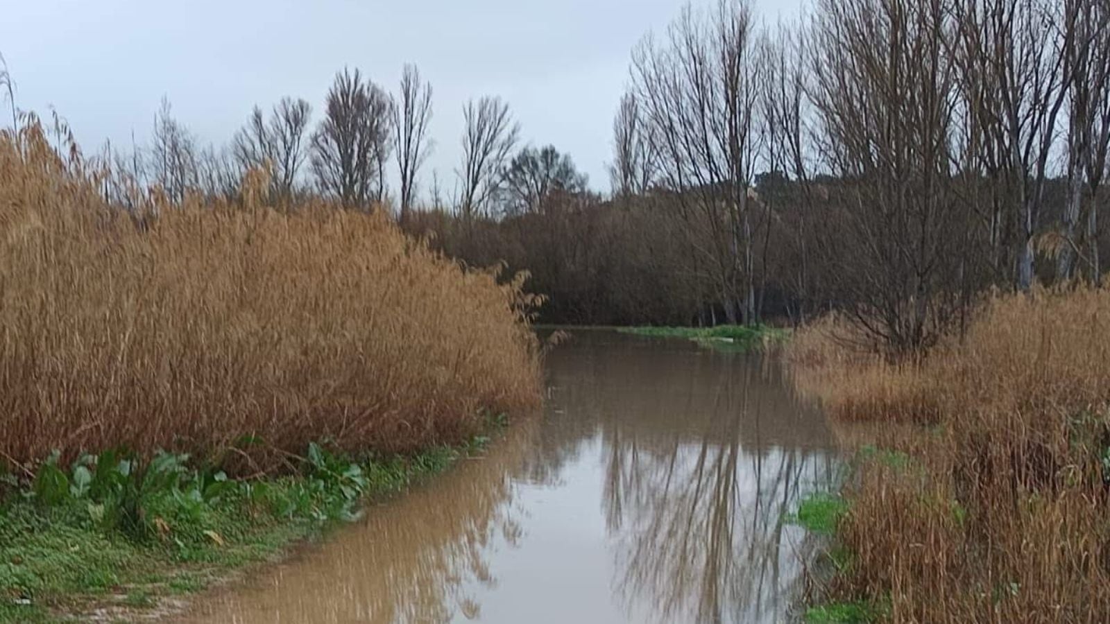 Imagen de este fin de semana del río Alberche, a su paso por la localidad toledana de El Casar de Escalona