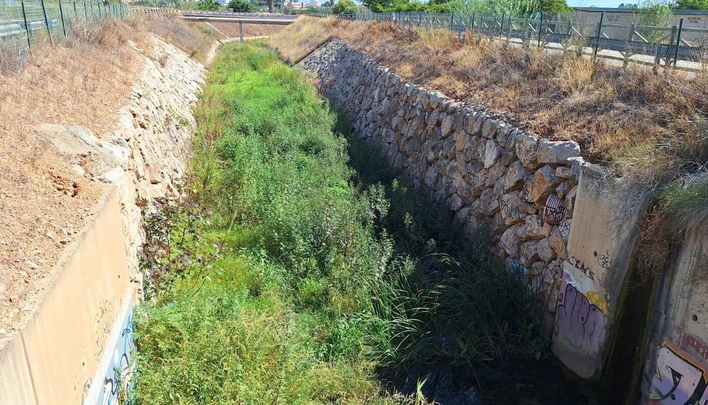 El ayuntamiento comienza la limpieza del barranco del Palmaret