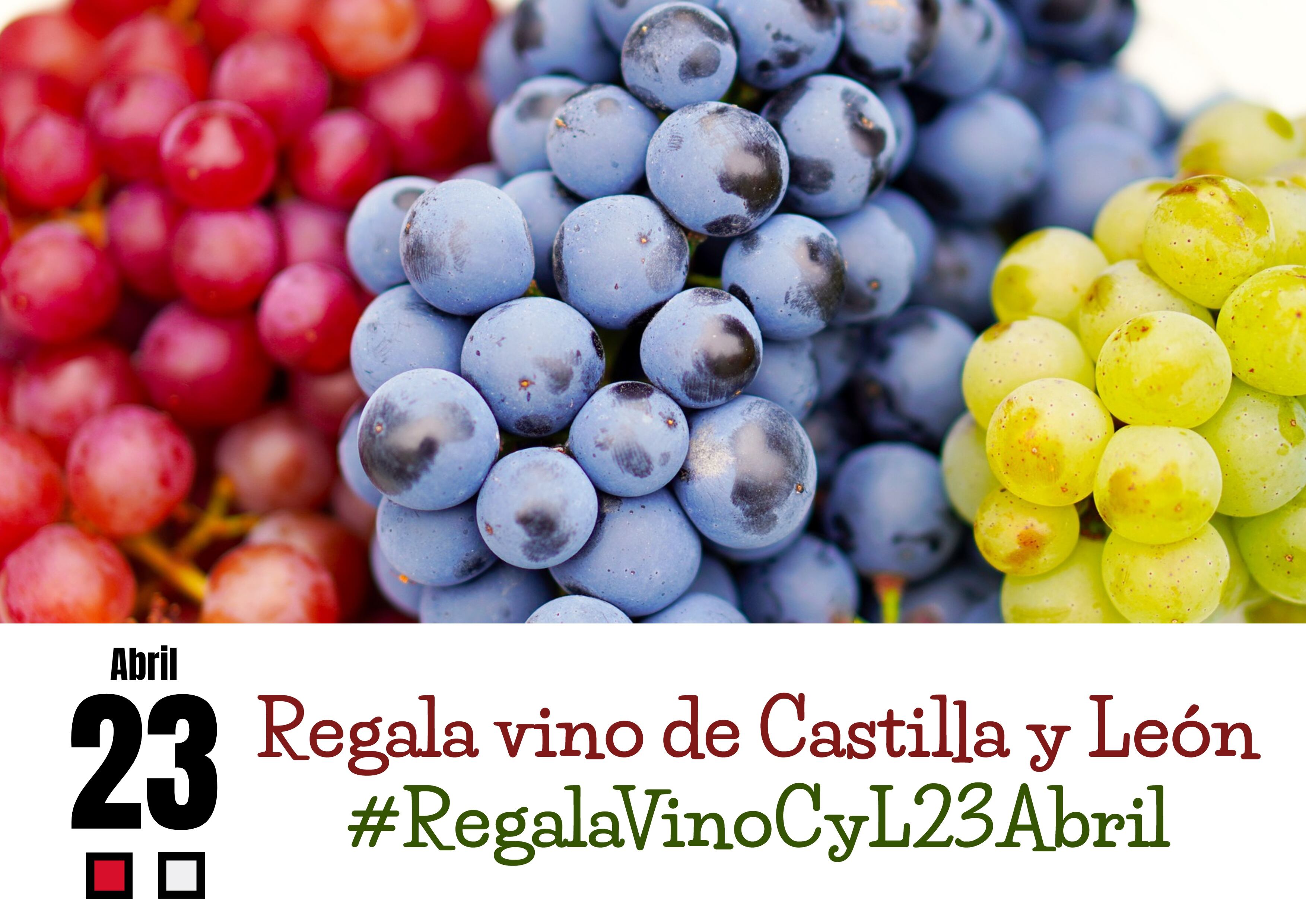 La Seca promueve el regalo de vino el Día de Castilla y León