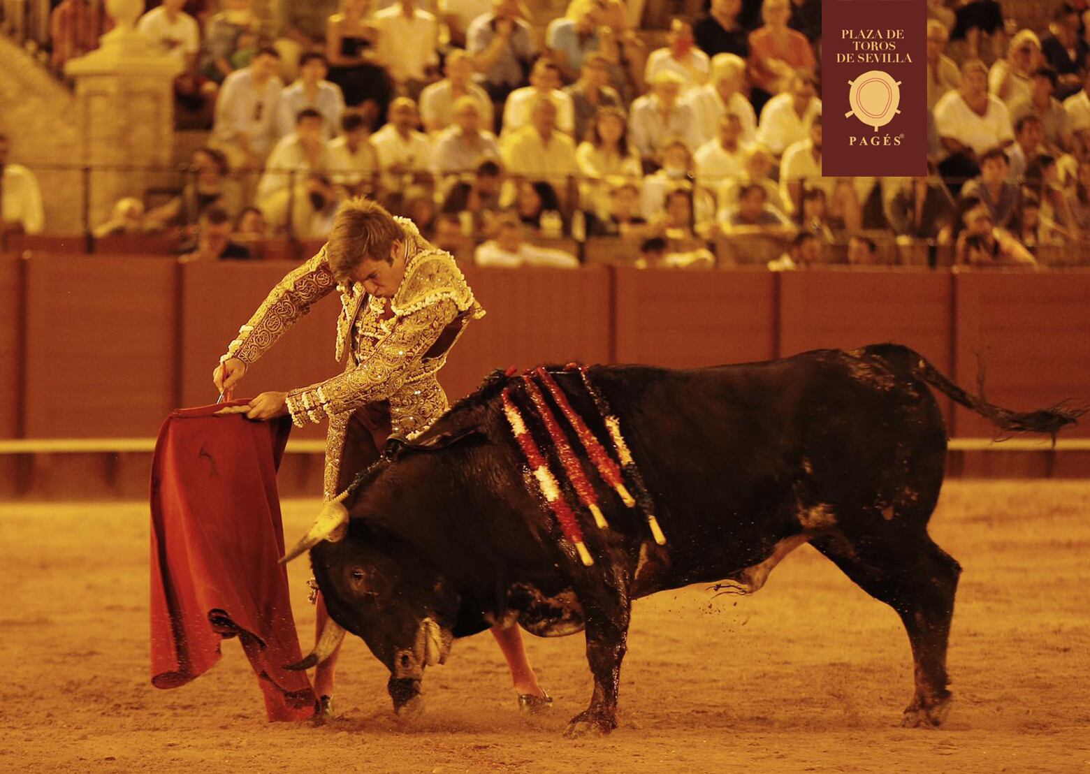 Daniel de la Fuente en un remate al primer novillo de su lote, al que le cortó una oreja