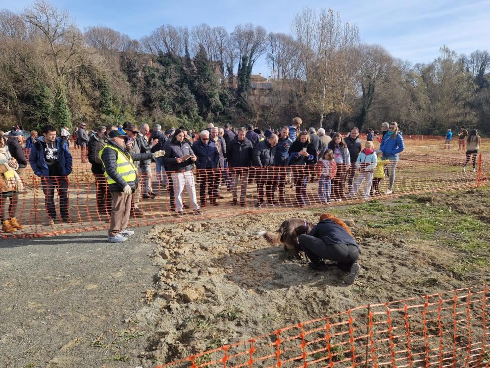 Agricultura del Gobierno de Aragón respalda al sector trufero en la VI Feria de la Trufa Negra de Graus. Foto: DGA
