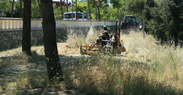 Tareas de desbroce en Tres Cantos