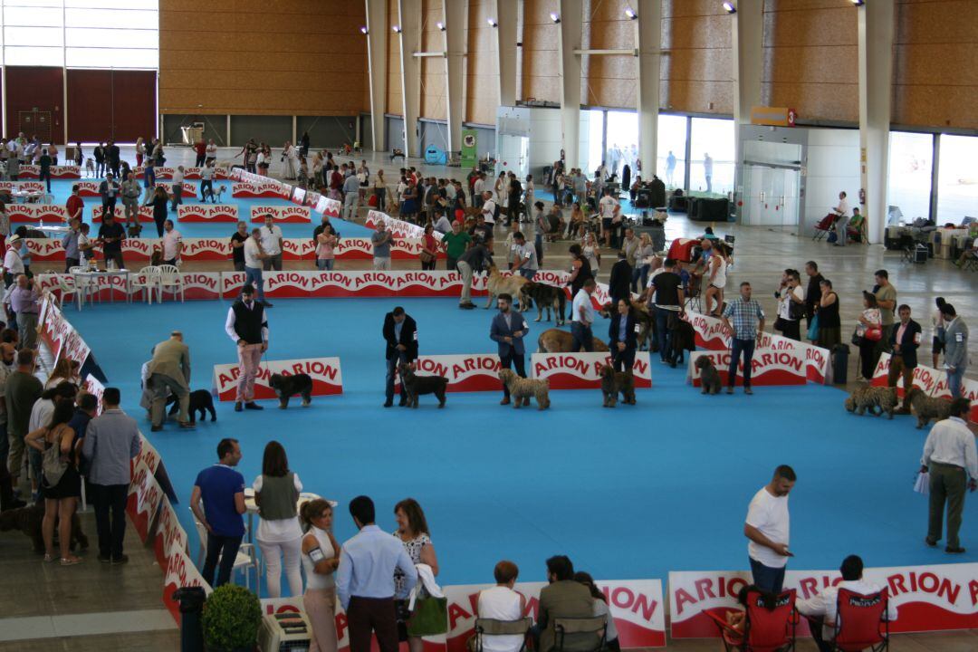 Concurso Nacional Canino