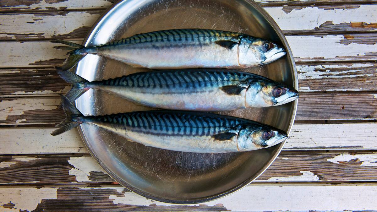 La Buena Mesa: Caballa marinada con paté de berenjena (13/05/2024)