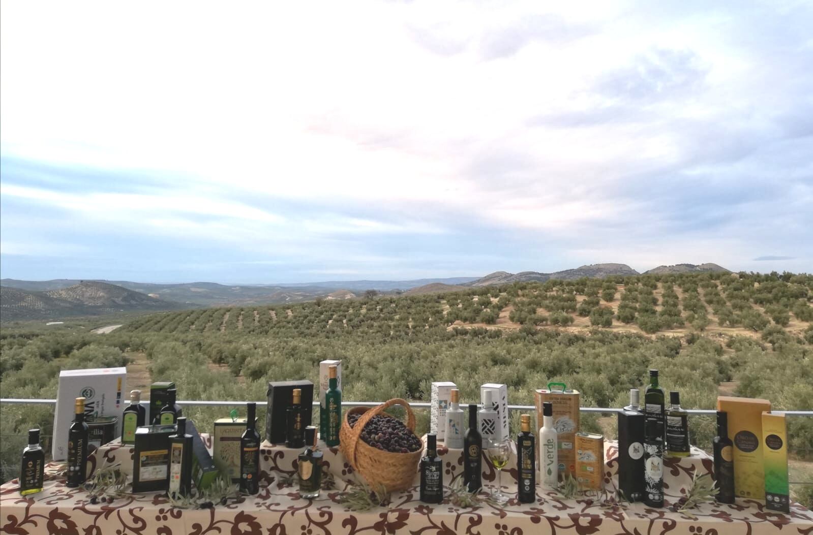 Bodegón con los aceites de Sierra Mágina que integran la tienda online