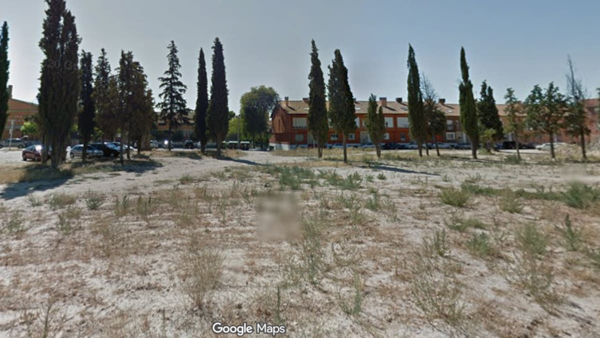 La polémica de los cipreses de San Gil se enreda más