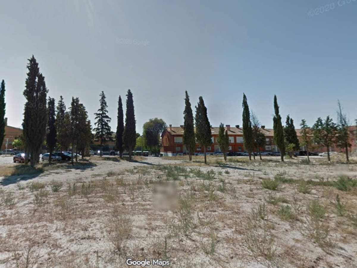 El PP pide frenar la tala de cipreses centenarios del antiguo cementerio de San Gil