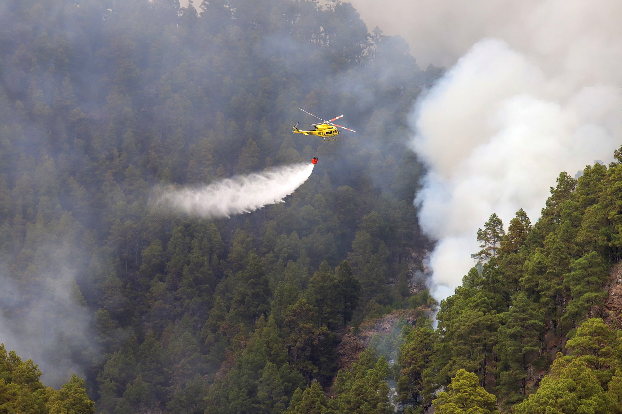 Imágenes del pasado 17 de julio con el incendio de La Palma, que ahora se ha reactivado, sin controlar.