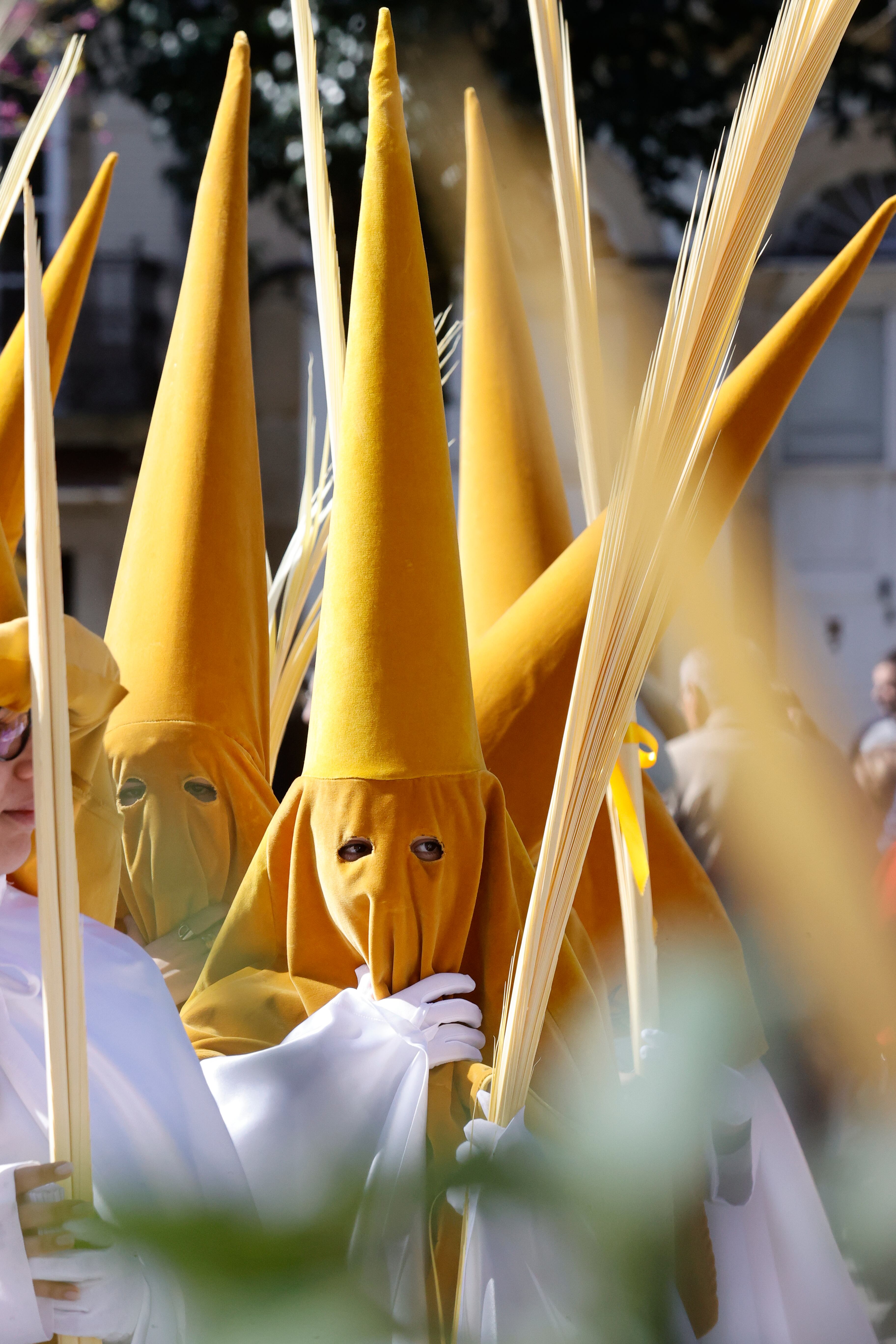 GRAF7623. FERROL, 24/03/2024.- Ferrol inicia su Semana Santa de Interés Turístico Internacional con las tradicionales procesiones de Domingo de Ramos, donde varias cofradías bendicen los ramos y sacan los pasos de la Borriquita y en la que se espera a mas de 300.000 visitantes y un impacto económico de 40 millones de euros, a la espera de que el tiempo permita el normal desarrollo de las procesiones. EFE/Kiko Delgado.