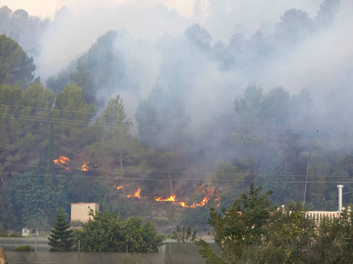 El incendio de la Safor y la Vall d'Albaida se queda en el límite de la provincia de Alicante tras quemar más de 2.500 hectáreas