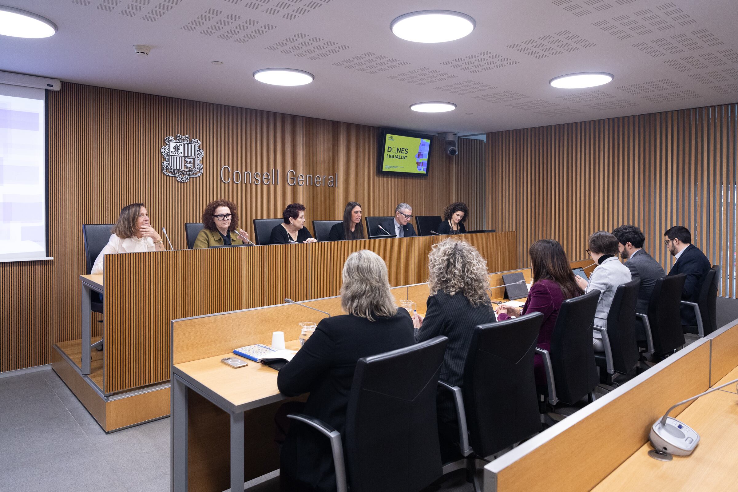 La secretària general de l'IAD, Judith Pallarés, durant la compareixença parlamentària que ha ofert per presentar l'informe anual de l'entitat