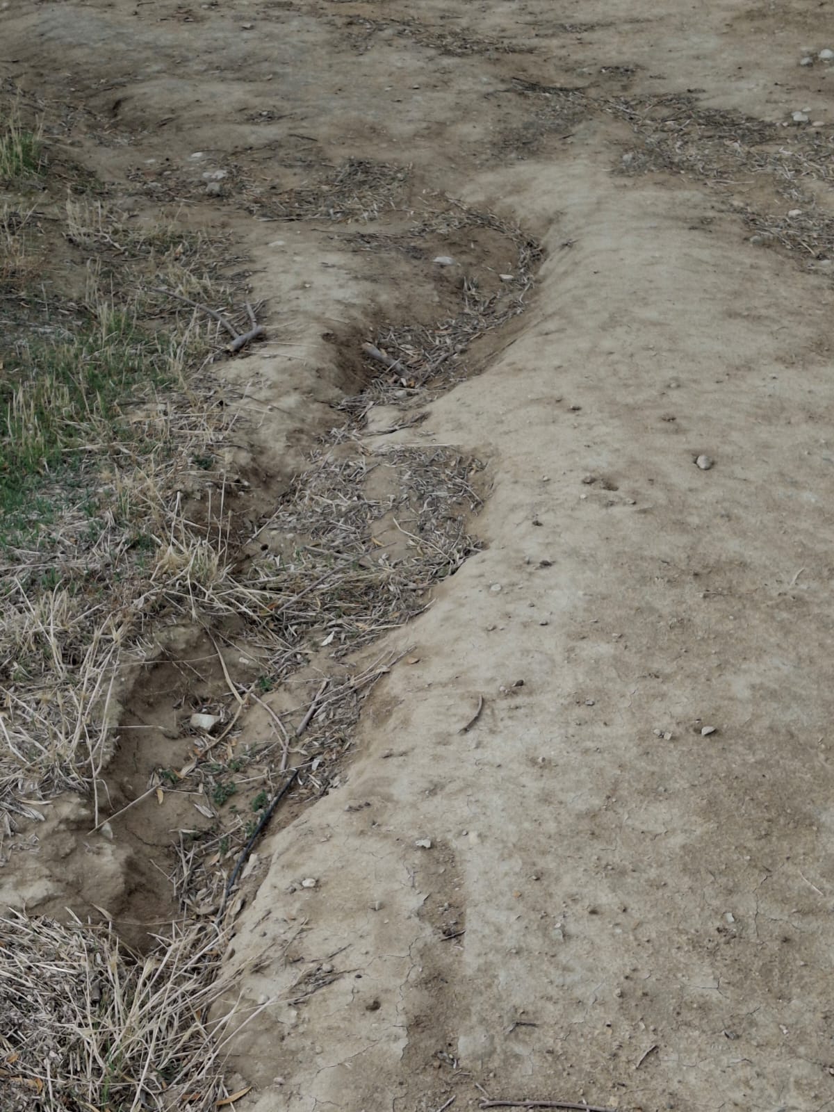 Estado del camino Entrecerros