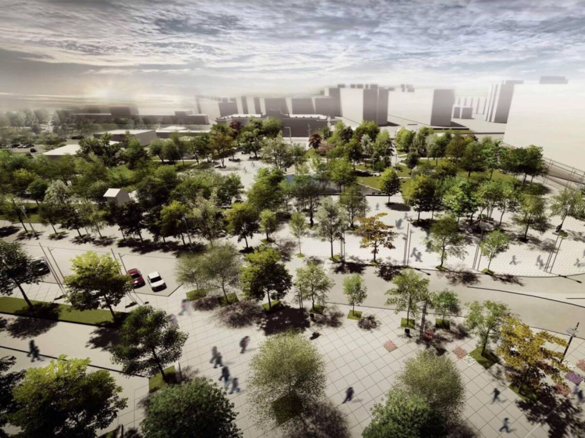 La suspensión de la tala de árboles en Jardinillos no afecta a las obras que ya han comenzado