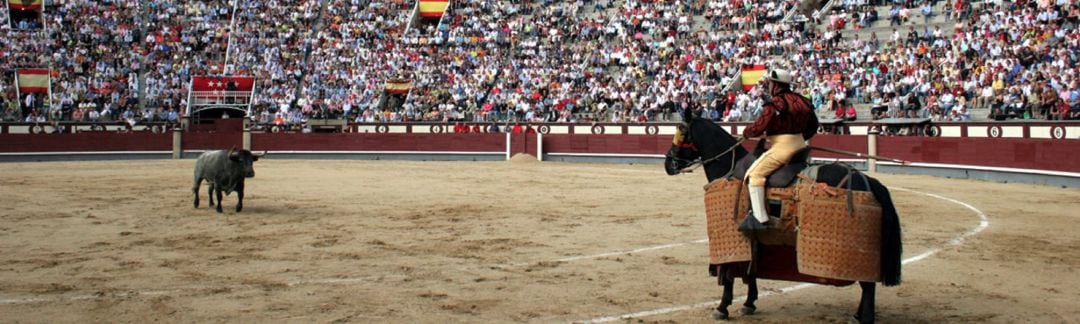 Medina se prepara para acoger jornadas del Circuito de Novilladas de Castilla y León
