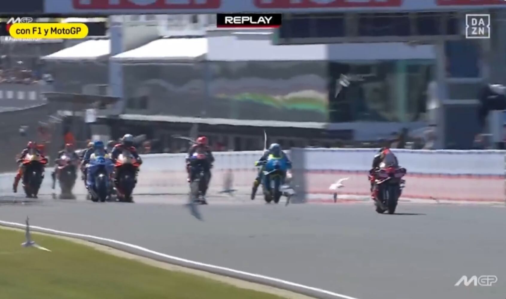 Una bandada de gaviotas irrumpe en el GP de Australia de Moto GP