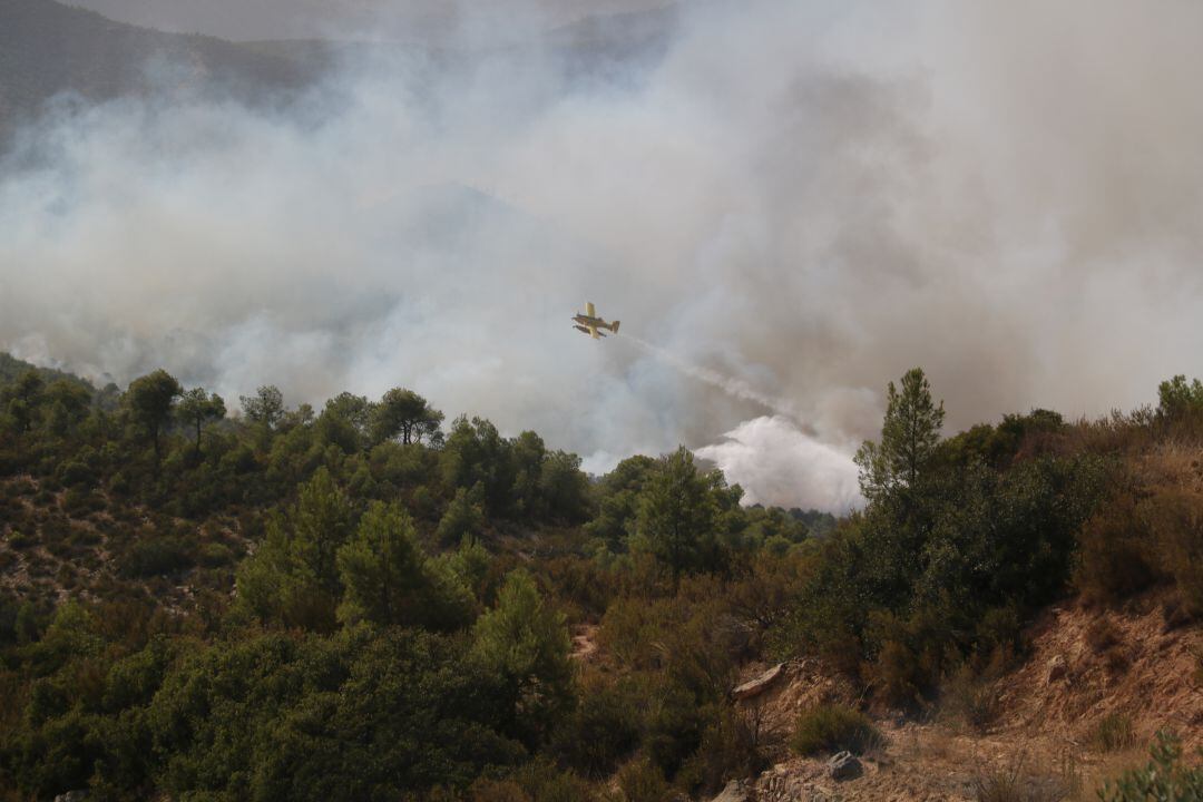 Un hidroavió durant les tasques d'extinció de l'incendi de la Pobla de Massaluca, a la Terra Alta