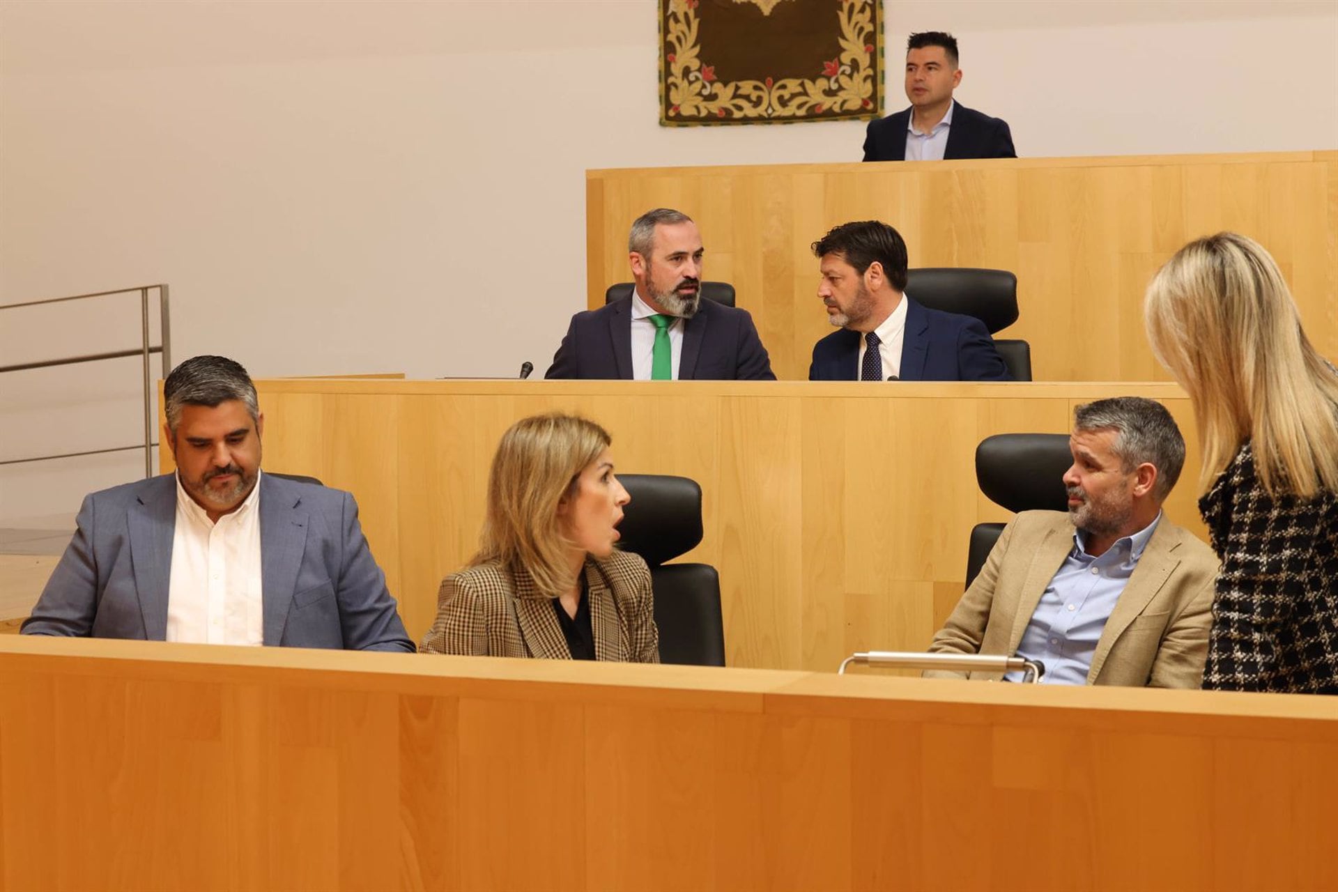 Pleno de la Diputación de Málaga