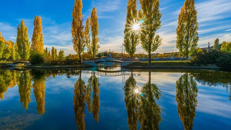 Un estudio demuestra que vivir cerca de zonas verdes es beneficioso para la salud mental
