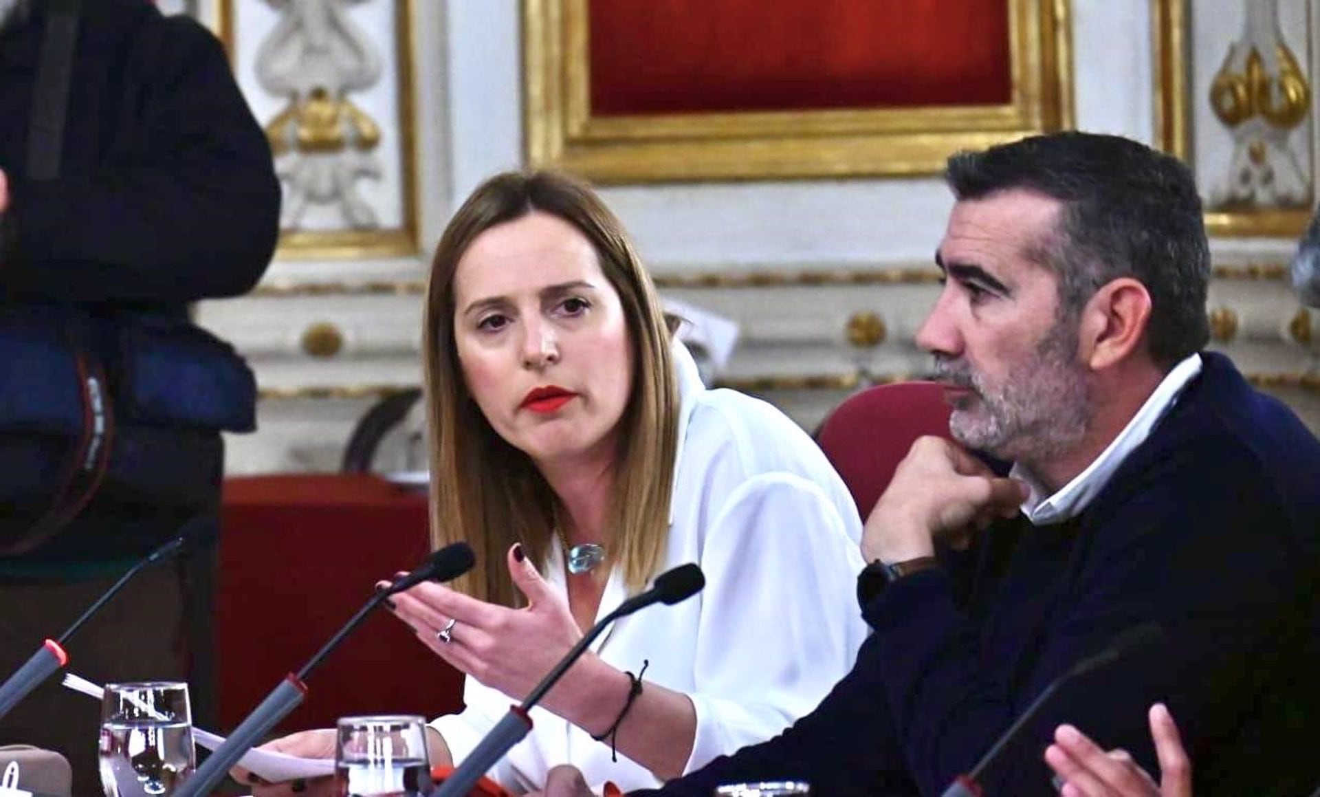 La portavoz del PSOE en Diputación, Ana Carrera