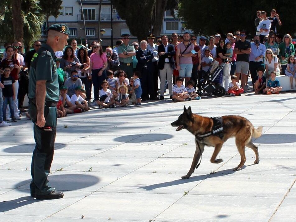 Exhibición de la unidad canina de la Guardia Civil en la Plaza Circular de Murcia