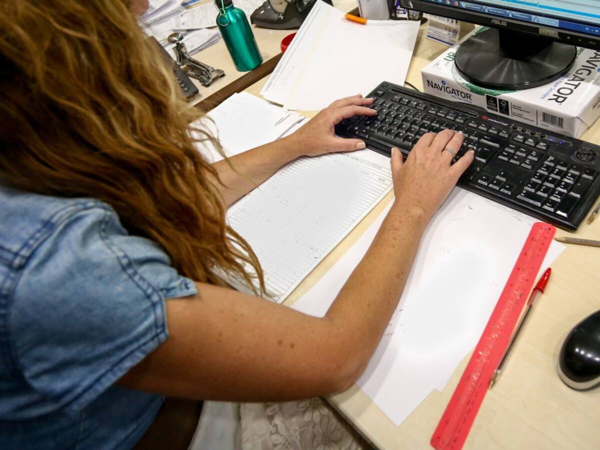 Palma Activa ofrece 80 cursos de formación entre septiembre y diciembre