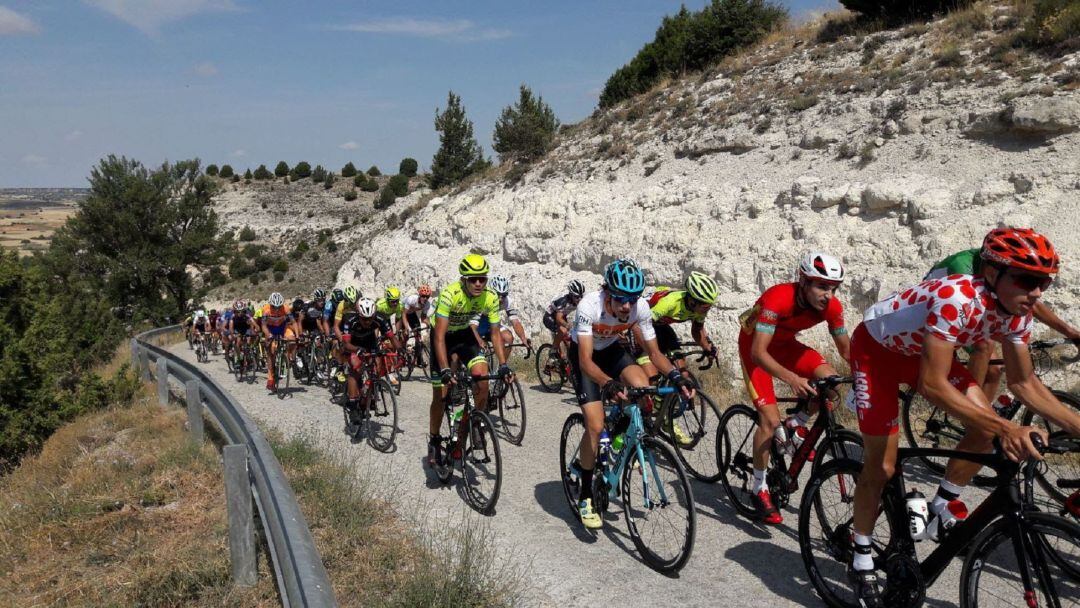 Una de las images de los ciclistas júnior transitando por las tierras de la Ribera del Duero.