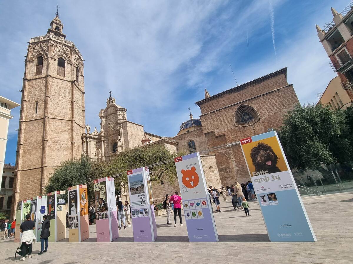 La plaza de la Reina acoge la exposición "València, ciudad amiga de los animales"