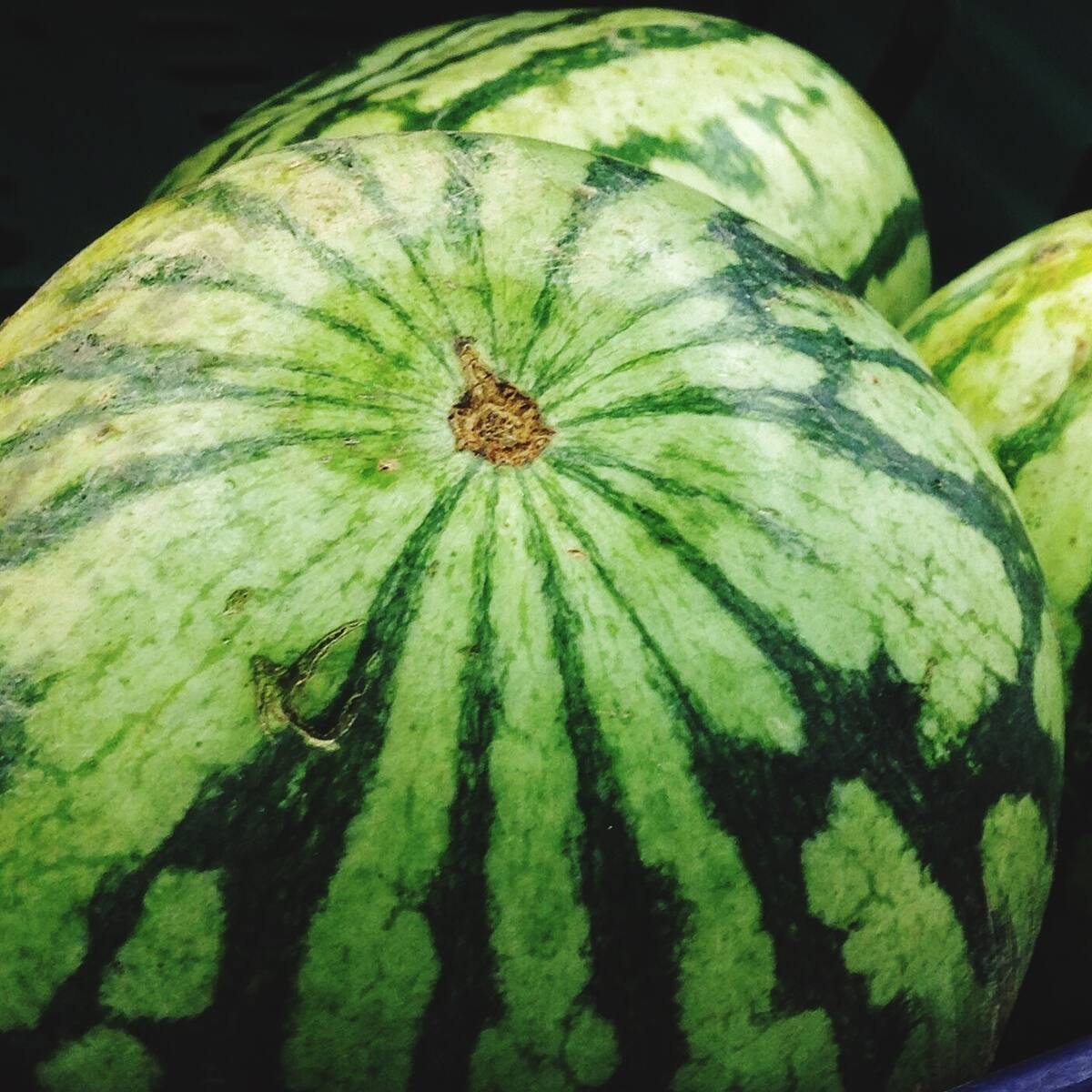 Las asociaciones agrarias valencianas afirman que la gran distribución 'está haciendo el agosto' aprovechando la inflación