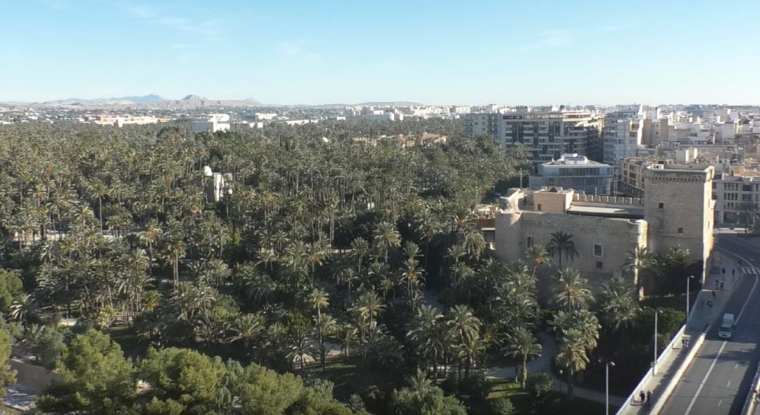 Palmeral  Histórico declarado patrimonio de la Humanidad